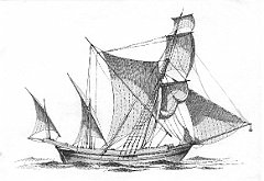 GR - Grande saccoleva 
